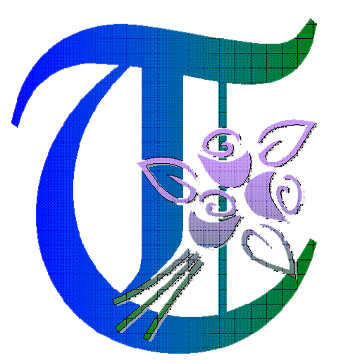 Tanveer Brothers Zafarwal